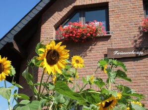 Ferienwohnung Graeff - Boppard - image1