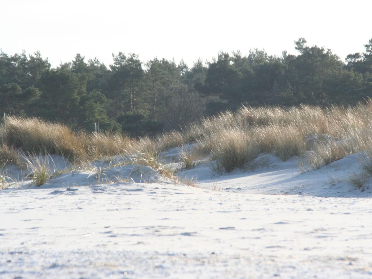 Der Weststrand - Naturidylle pur