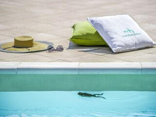 Appartement Piandimeleto  32