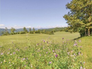 Apartment Piandimeleto Environment 20