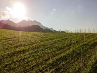 Apartamento Piandimeleto Entorno 22