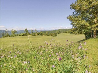 Appartement Piandimeleto Environnement 25