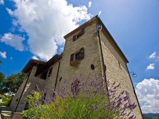 Villa Apecchio Outdoor Recording 10