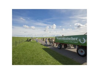 Ferienwohnung Nordstrand Ausstattung 6