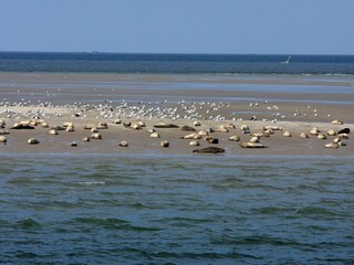 Casa per le vacanze Nordstrand Ambiente 23