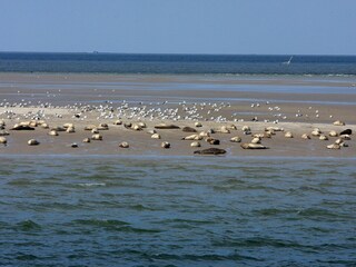 Vakantiehuis Nordstrand Omgeving 23