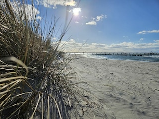 Ferienhaus Wustrow Umgebung 16