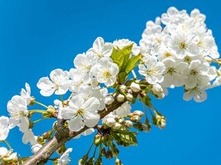 Holiday house Wustrow Outdoor Recording 6