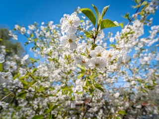Ferienwohnung Wustrow Außenaufnahme 30