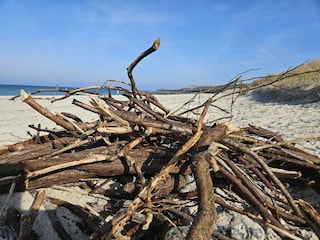 Ferienhaus Ahrenshoop Außenaufnahme 12