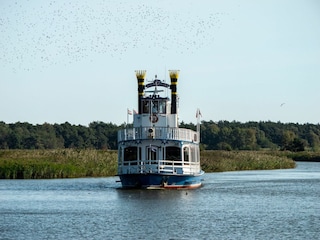 Ferienwohnung Born an der Darß Außenaufnahme 5