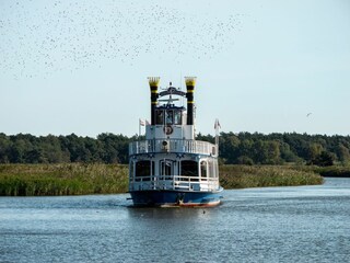Ferienhaus Born an der Darß Außenaufnahme 5