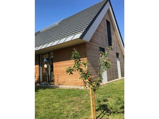 Ferienhaus Born an der Darß Außenaufnahme 6