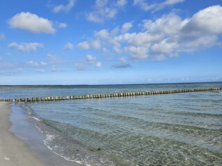 Ferienwohnung Prerow Außenaufnahme 10