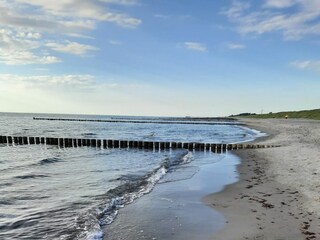 Ferienwohnung Prerow Umgebung 19