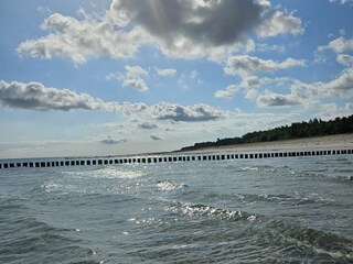 Ferienwohnung Prerow Umgebung 18