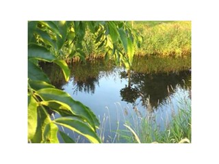 Ferienhaus Dornum Umgebung 20