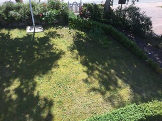 Blick in den Garten