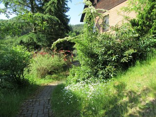 der Weg zur Wohnung Hammergrund