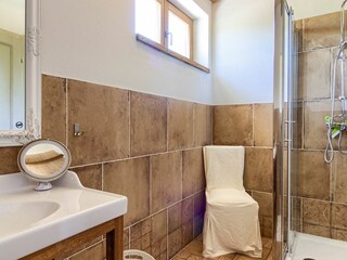 Villa Svetvinčenat Caratteristiche 36