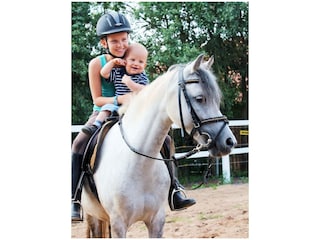 Maison de vacances Wiesentheid Environnement 28