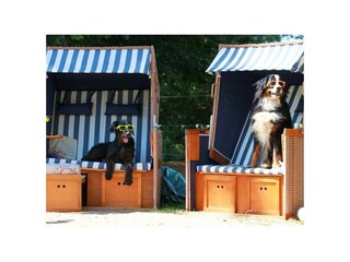 Casa per le vacanze Wiesentheid Ambiente 30