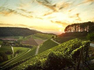 Casa per le vacanze Wiesentheid Ambiente 30