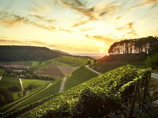 Maison de vacances Wiesentheid Environnement 30