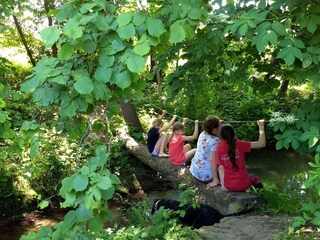 Casa per le vacanze Wiesentheid Ambiente 20