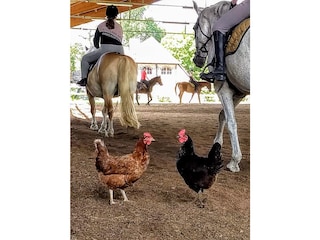 Maison de vacances Wiesentheid Environnement 21