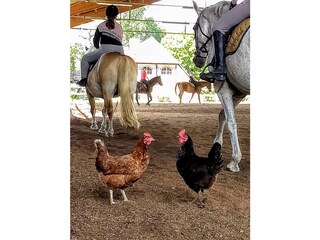 Vakantiehuis Wiesentheid Omgeving 21