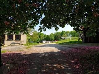 Apartamento de vacaciones Wiesentheid Grabación al aire libre 22