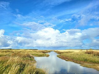 Casa per le vacanze De Cocksdorp Ambiente 20