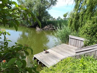 Casa per le vacanze Breskens Registrazione all'aperto 16