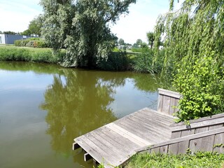 Casa per le vacanze Breskens Registrazione all'aperto 14