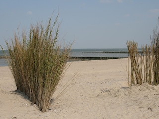 Casa per le vacanze Breskens Ambiente 32