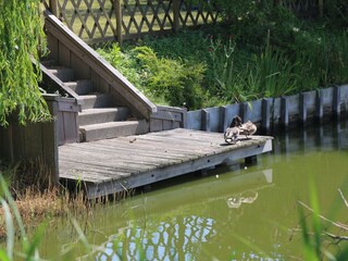 Casa per le vacanze Breskens Registrazione all'aperto 15