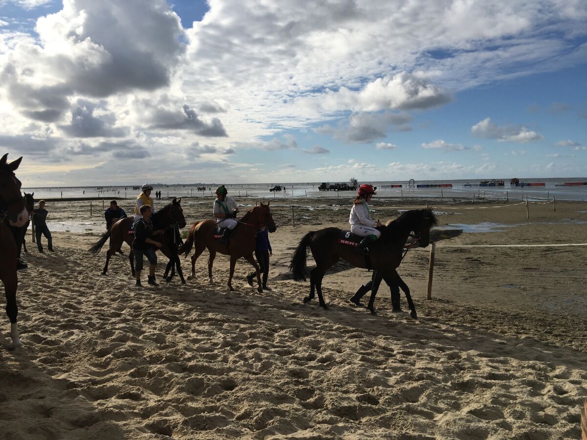 Herrliche Ausritte am Strand