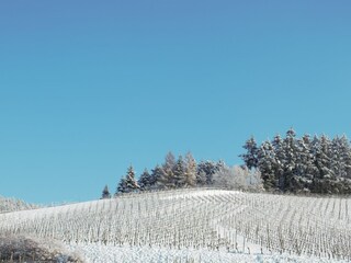 Blick von unserem Hof