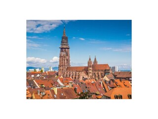 Freiburg im Breisgau