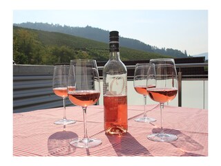 Terrassenblick