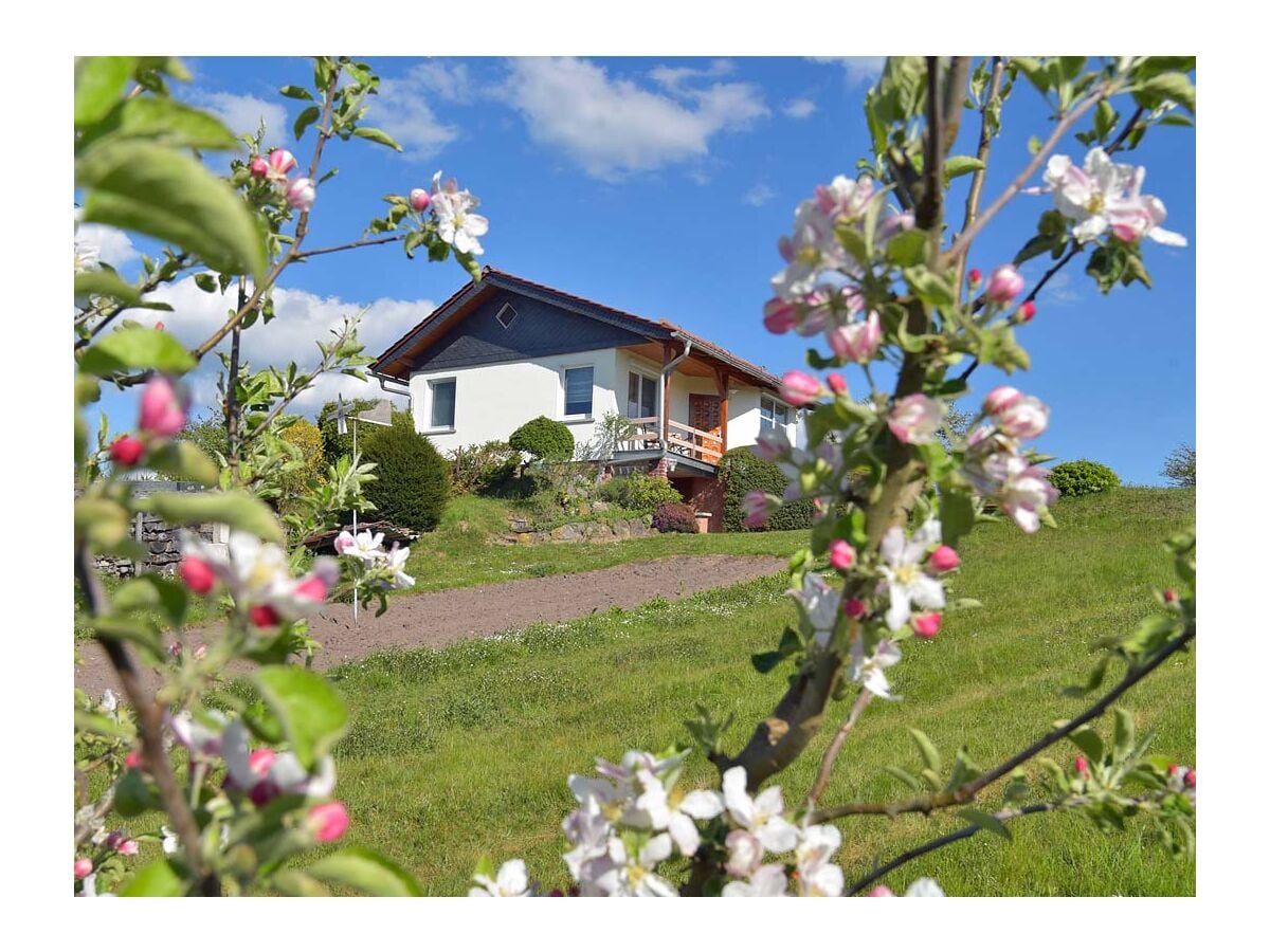 Casa de vacaciones Hildburghausen Grabación al aire libre 1