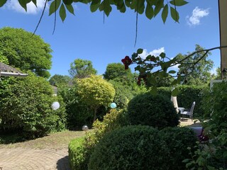 Casa per le vacanze Ouddorp Registrazione all'aperto 8