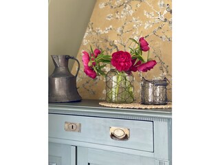 Appartamento per vacanze Egmond-Binnen Caratteristiche 17