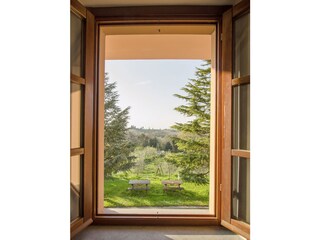 Enjoy the countryside from the windows