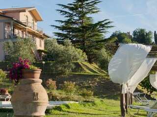 Big garden for enjoing the sun