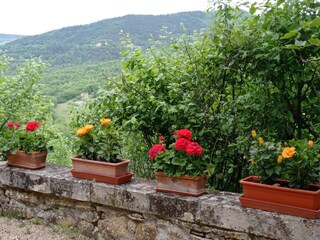 Appartamento per vacanze Radicondoli Registrazione all'aperto 17