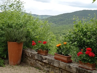 Ferienwohnung Radicondoli Außenaufnahme 18