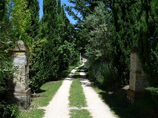 Appartamento per vacanze Radicondoli Registrazione all'aperto 2