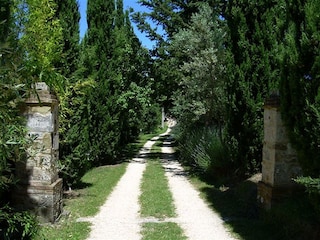 Vakantieappartement Radicondoli Buitenaudio-opname 2